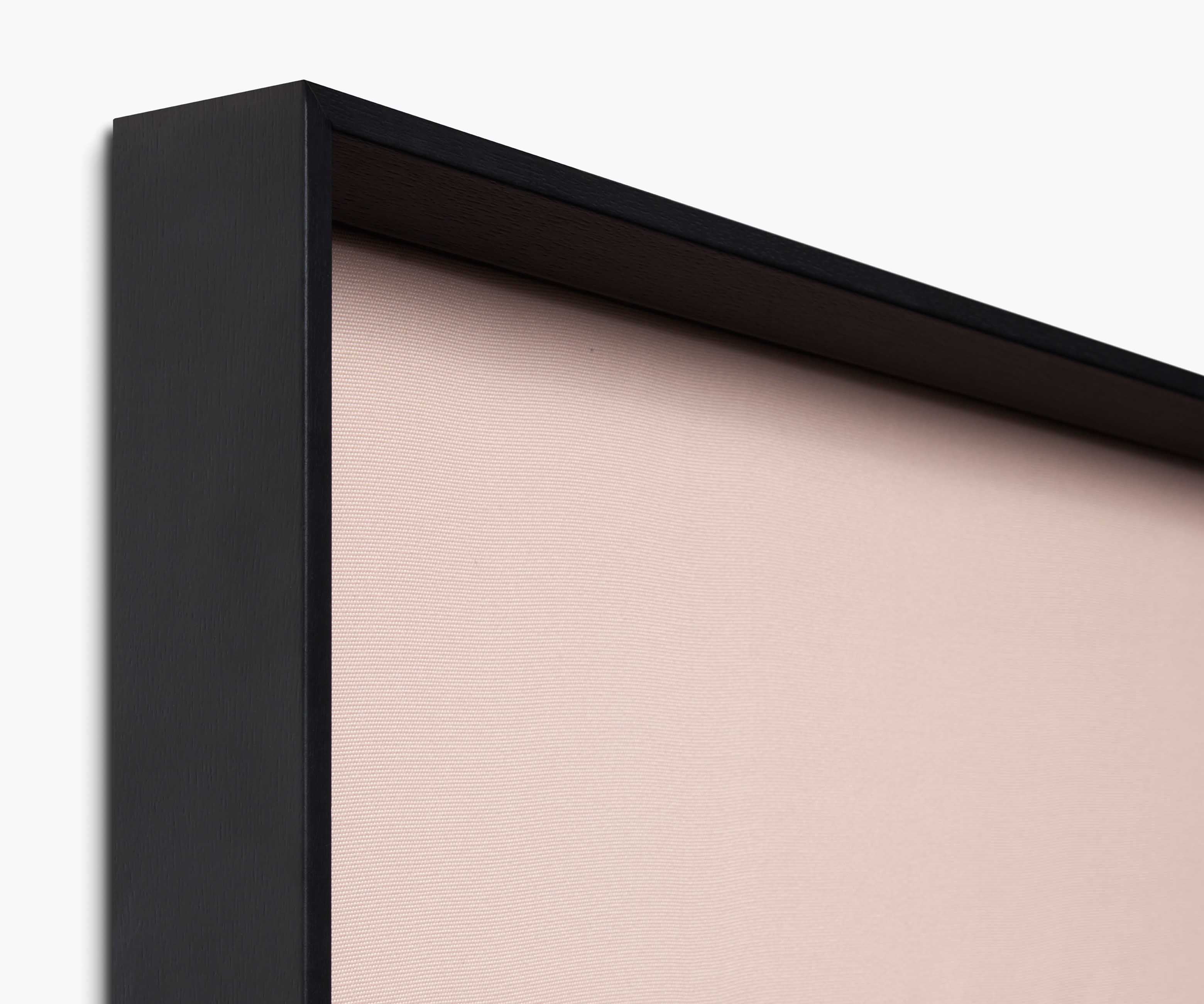 Butterflies Framed Wall Art