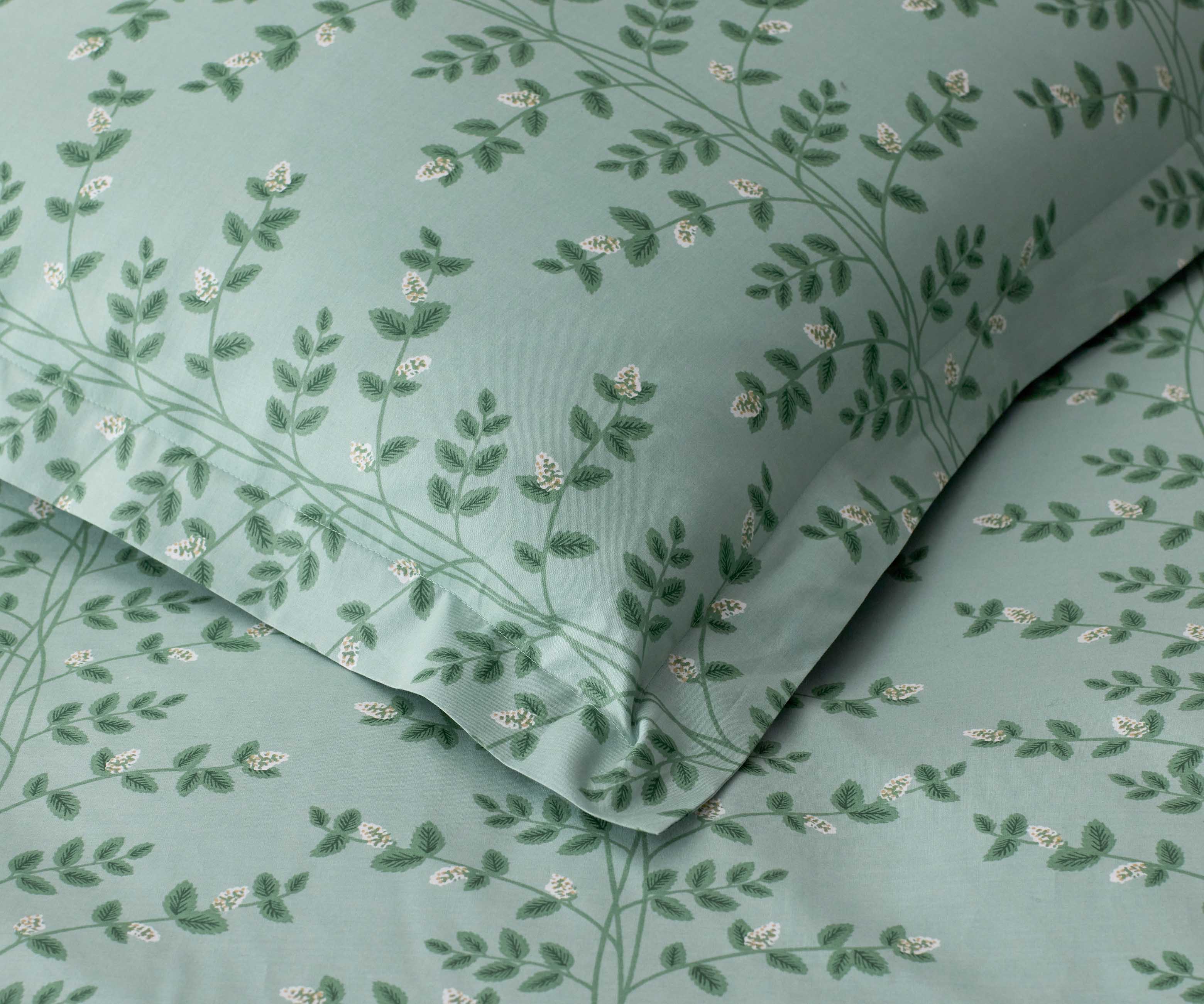 Percale Sham - Climbing Vines Sage