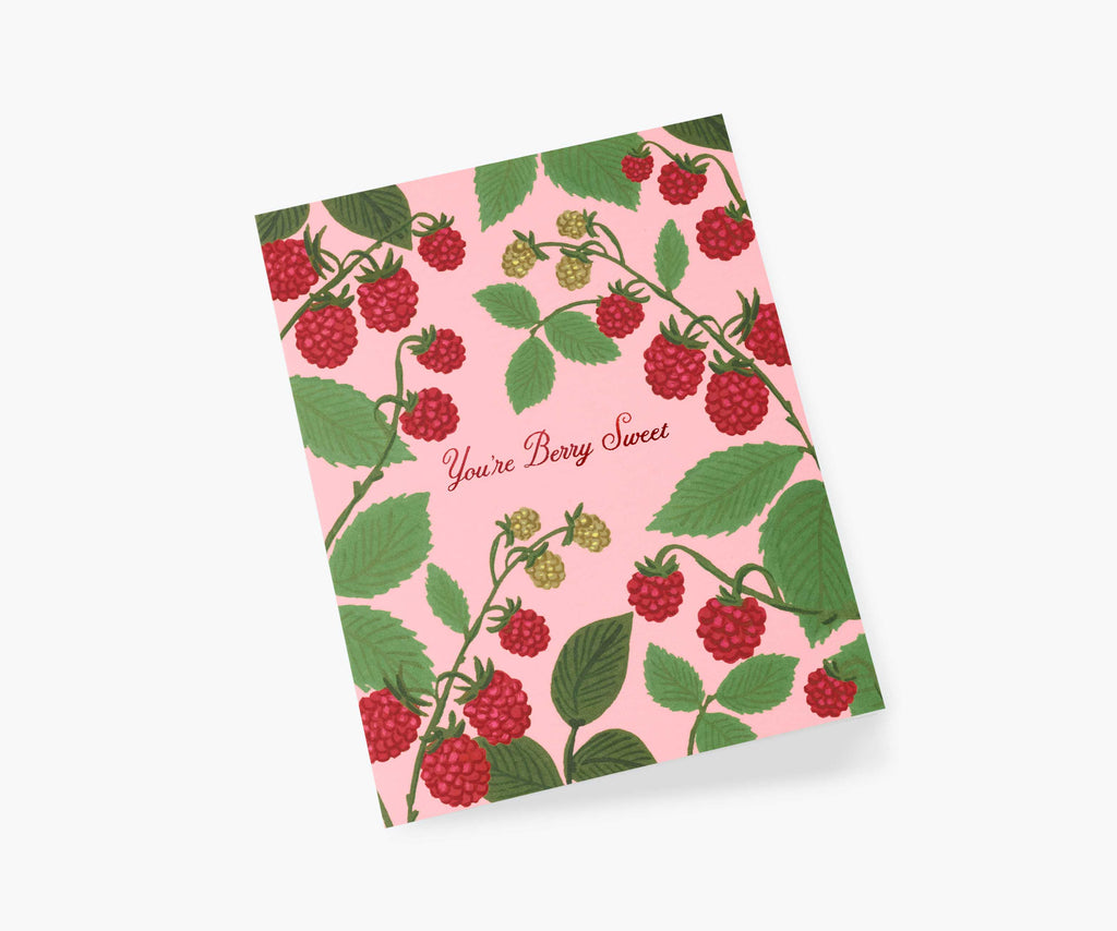 空想紅茶 渚十吾 berry・very・berry・note CHH Premium Ning Xia Goji Berry C120 再发兴宁夏特级枸杞500g