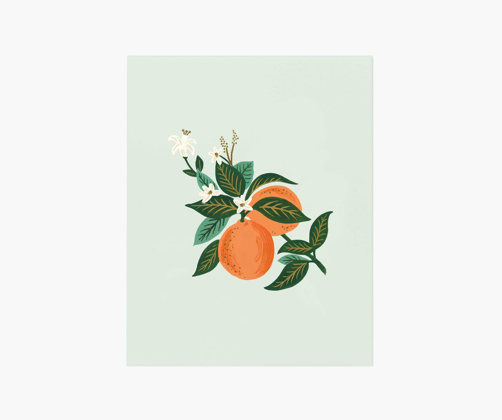 Orange Blossom Illustrated Art Print | Rifle Paper Co.