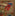 Christmas Carols Large Gift Bag