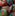 Embroidered Ornament Set - Christmastide