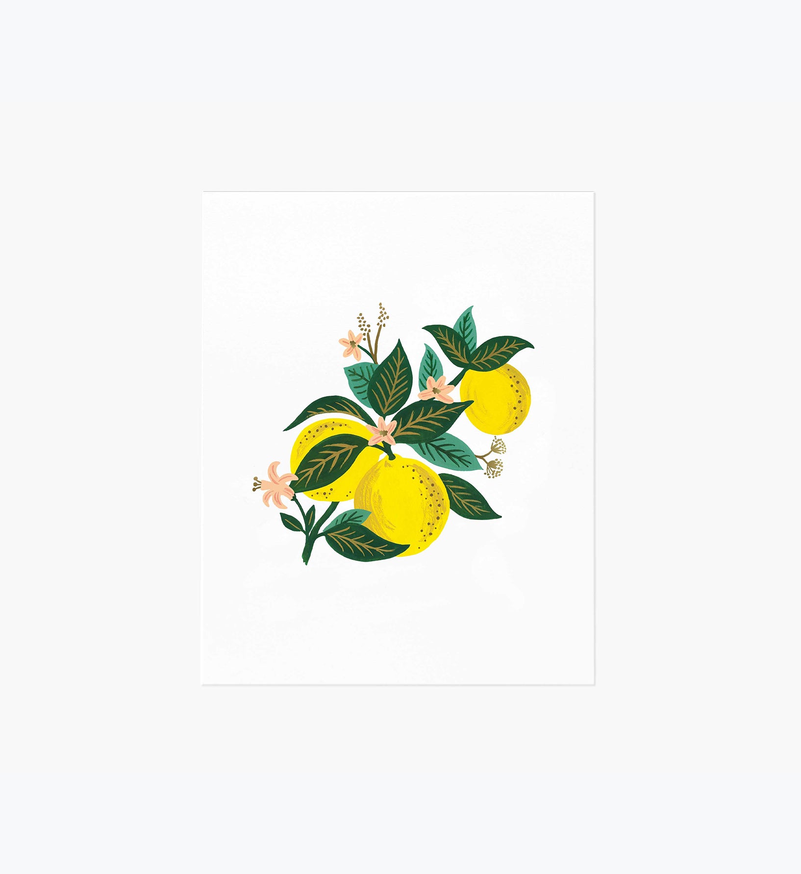 Lemon Blossom Art Print