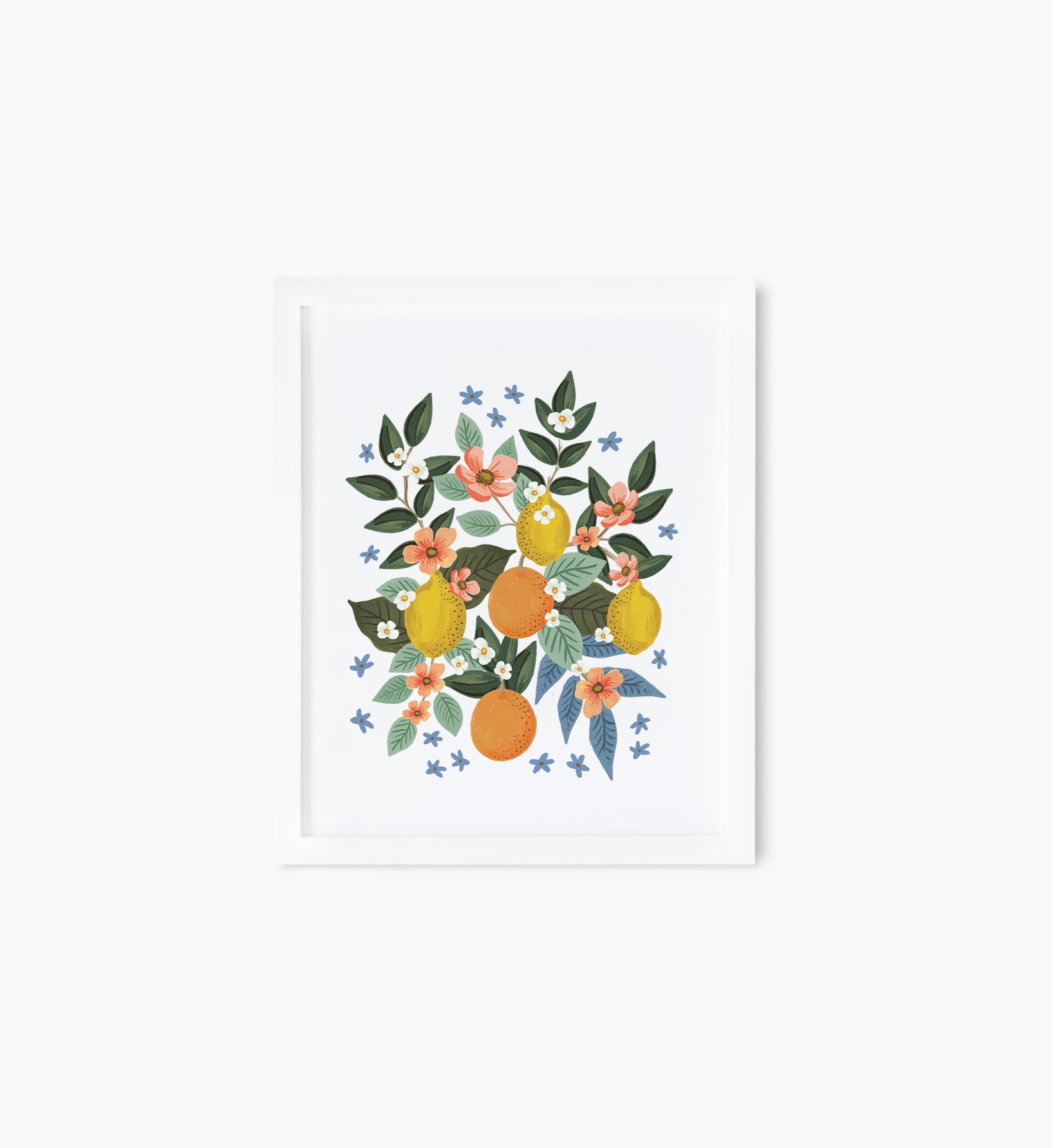 Citrus Grove Cluster Art Print