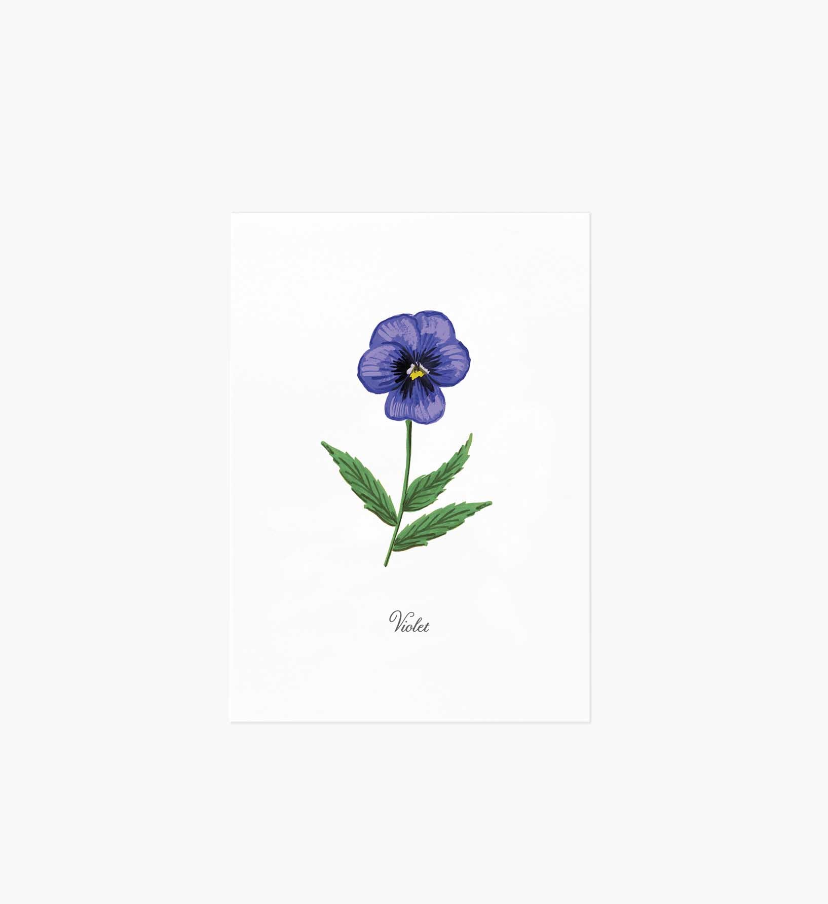 Birth Month Art Print - February