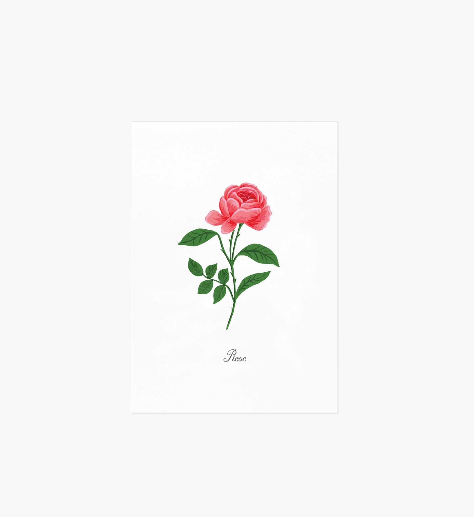 Birth Month Art Print - June