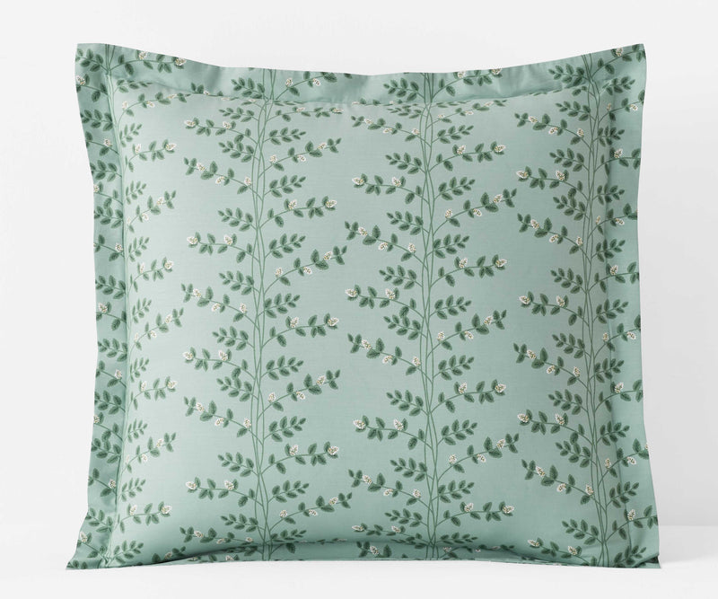 Climbing Vines Sage - Percale Sham