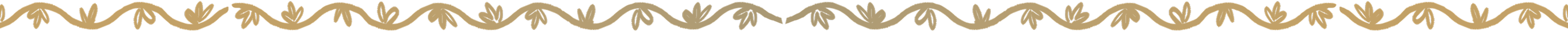 Border