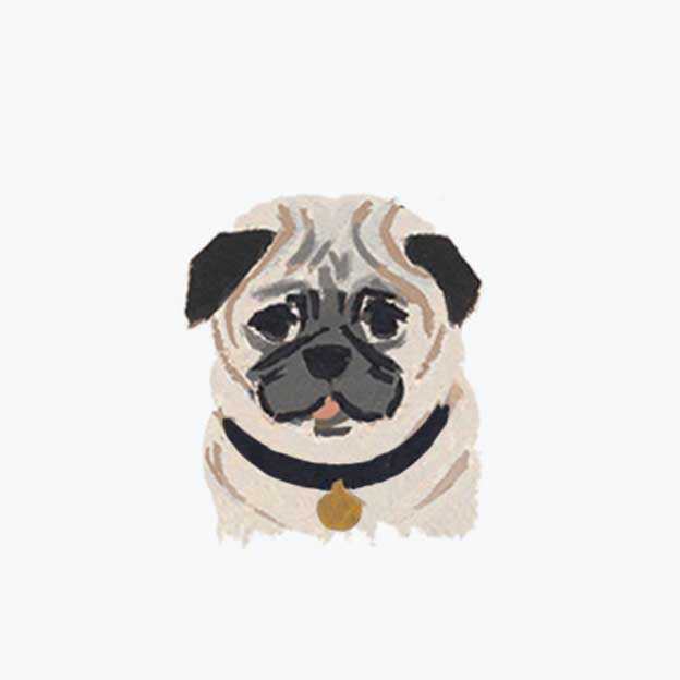 Pets Personalized Stationery - Dog 6
