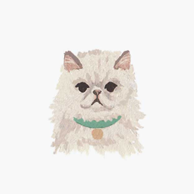 Pets Personalized Stationery - Cat 8