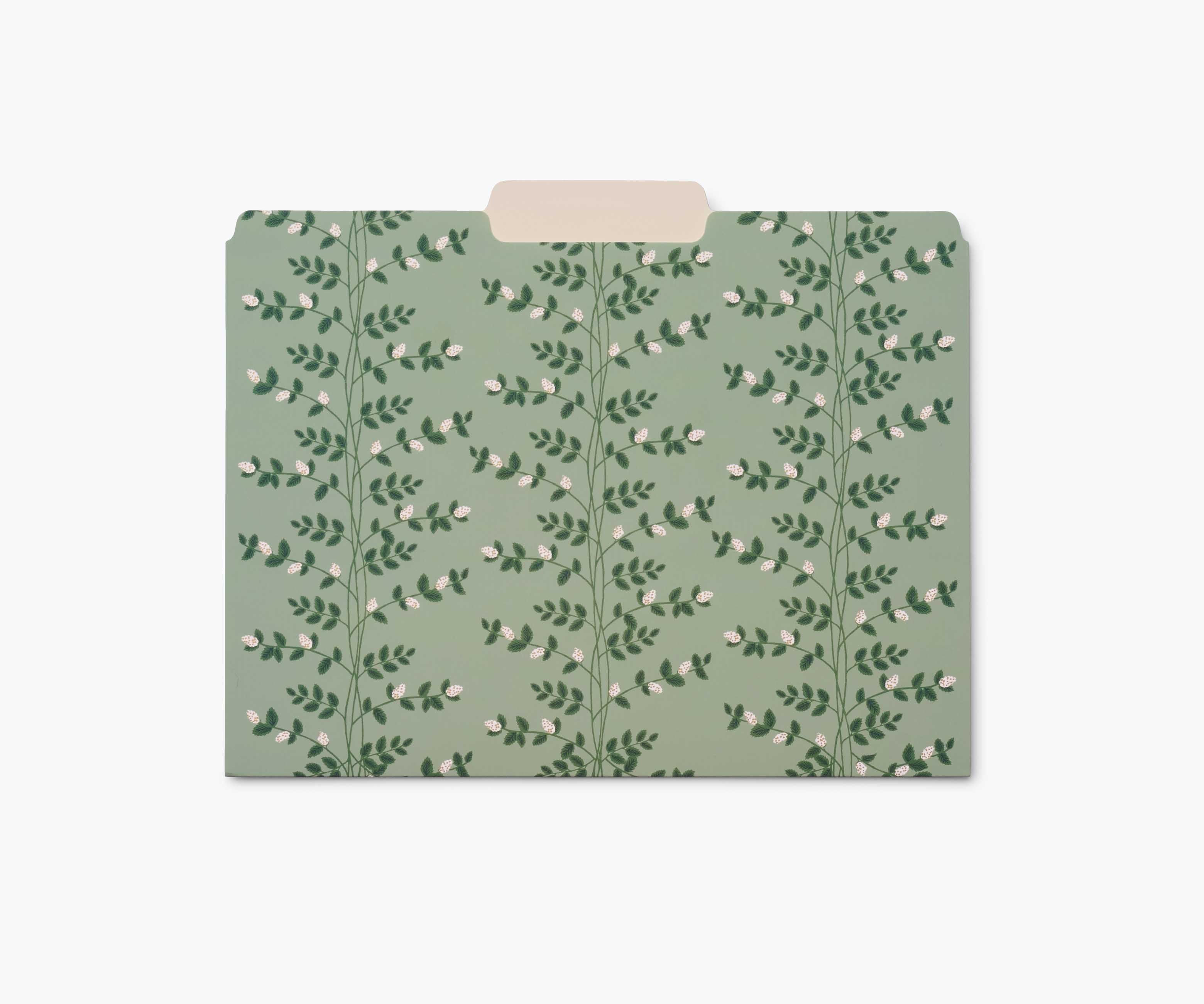 Assorted File Folders - Dahlia