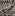Spellbound Cotton Fabric - Cream