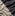 Trick or Treat Cotton Fabric - Linen