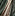 Willowberry Cotton Fabric - Evergreen