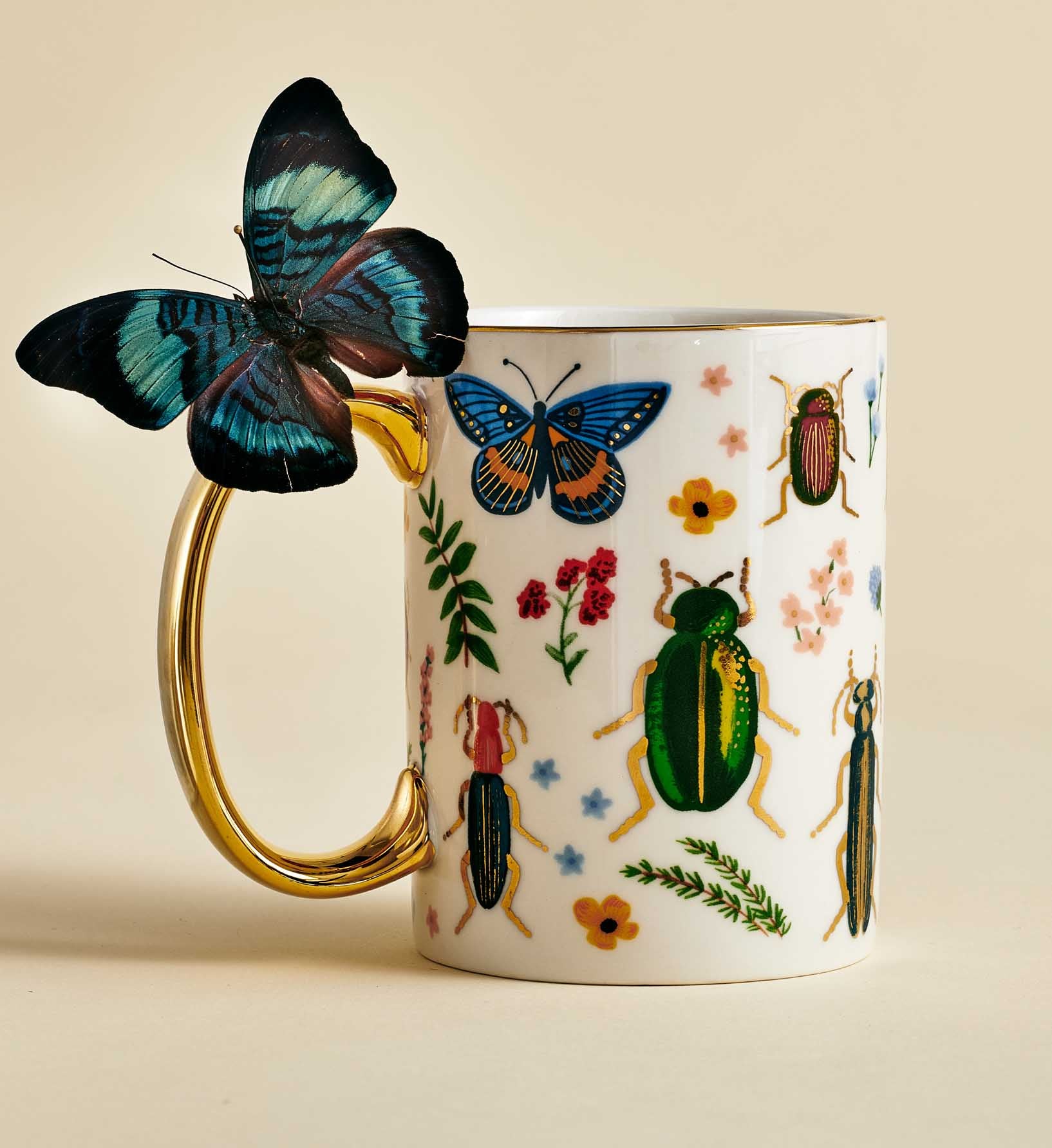 Porcelain Mug - Curio