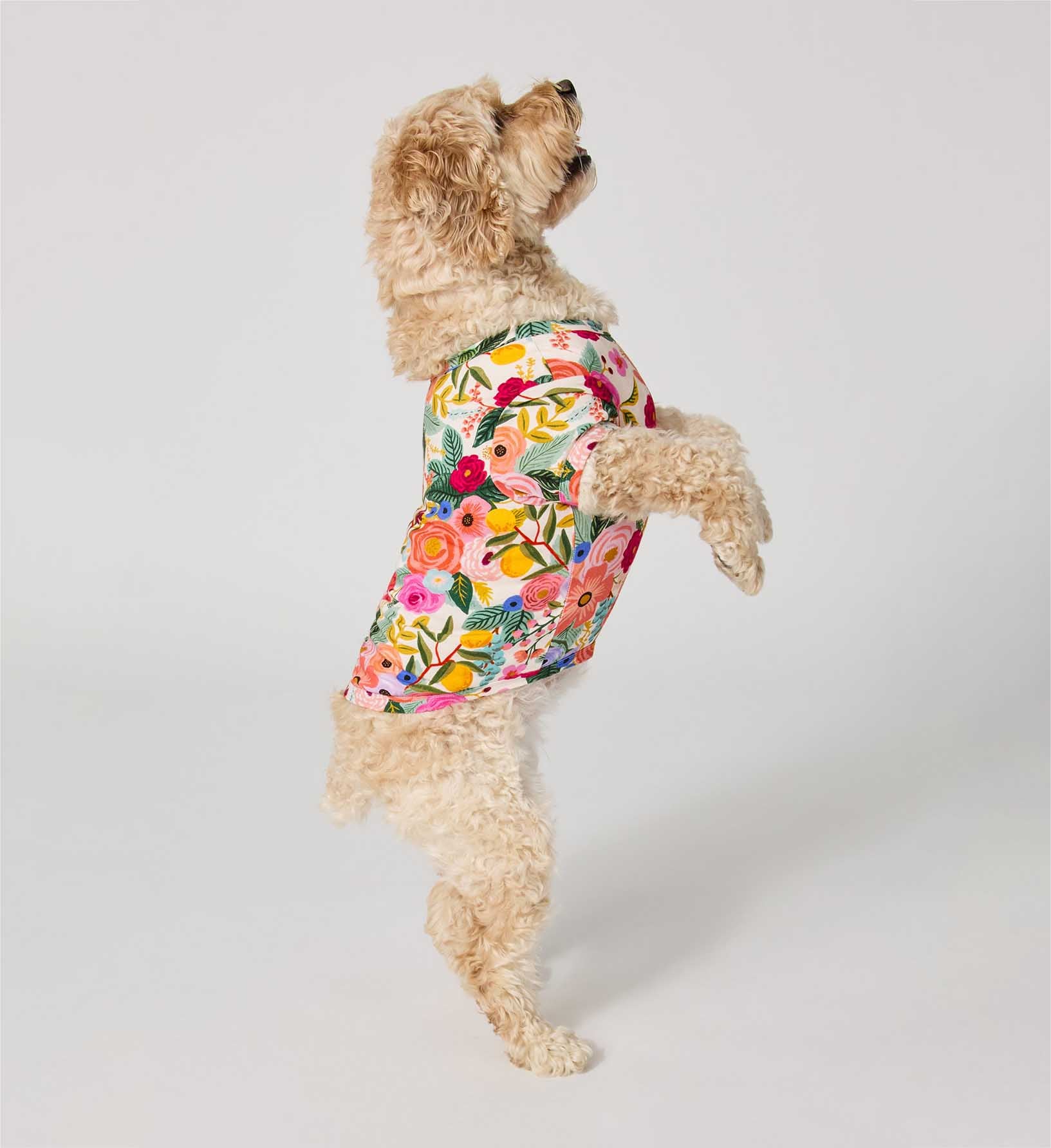 Dog Jersey Pajamas - Garden Party