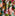 Cotton Napkin Set - Garden Party