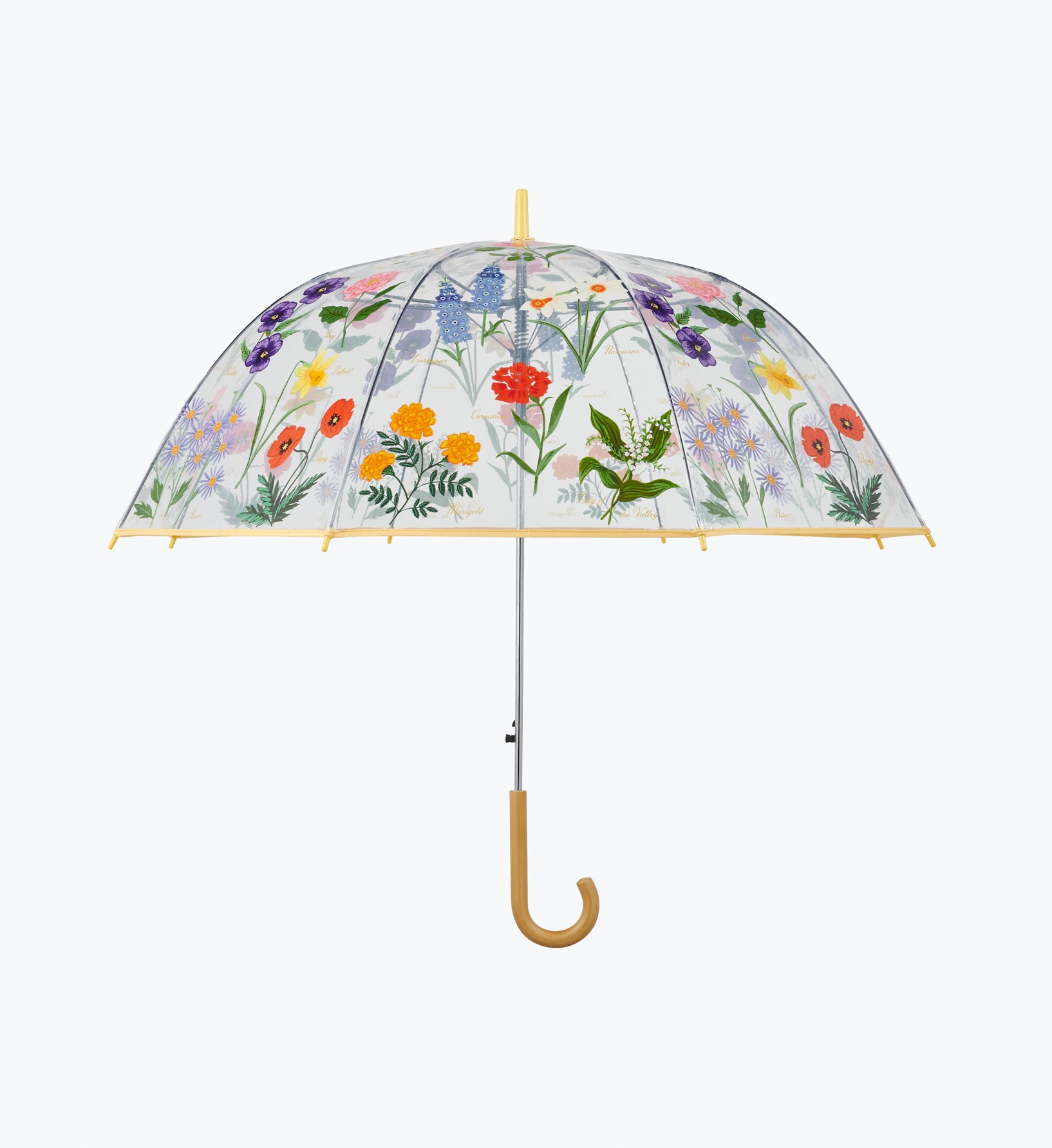 Umbrella - Garden Study