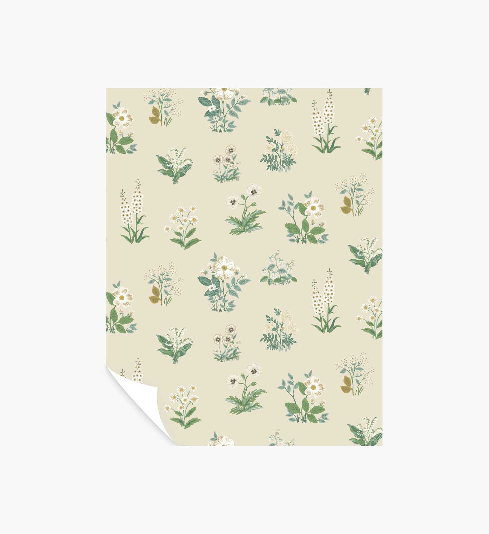Botanical Wallpaper Sample - Cream
