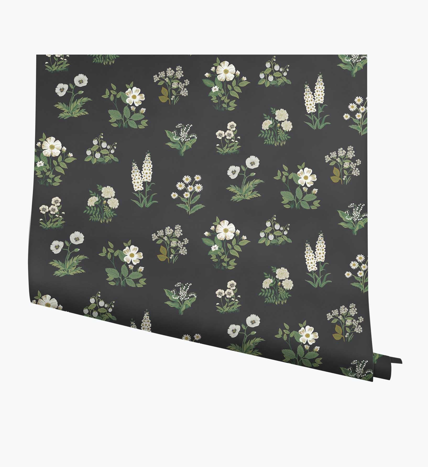 Botanical Wallpaper - Black