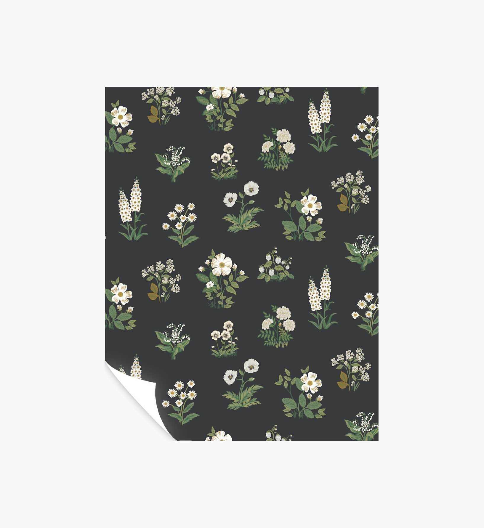 Botanical Wallpaper Sample - Black