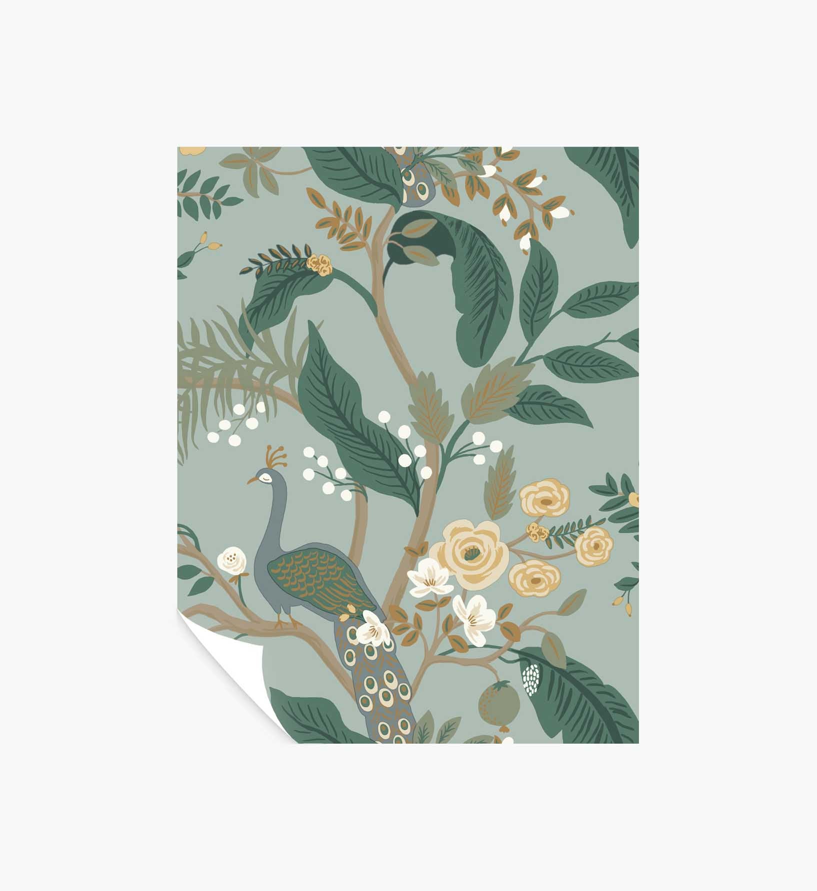 Peacock Wallpaper Sample - Slate