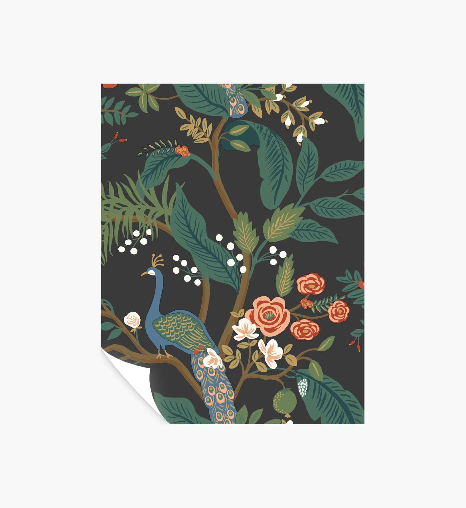 Peacock Wallpaper Sample - Charcoal