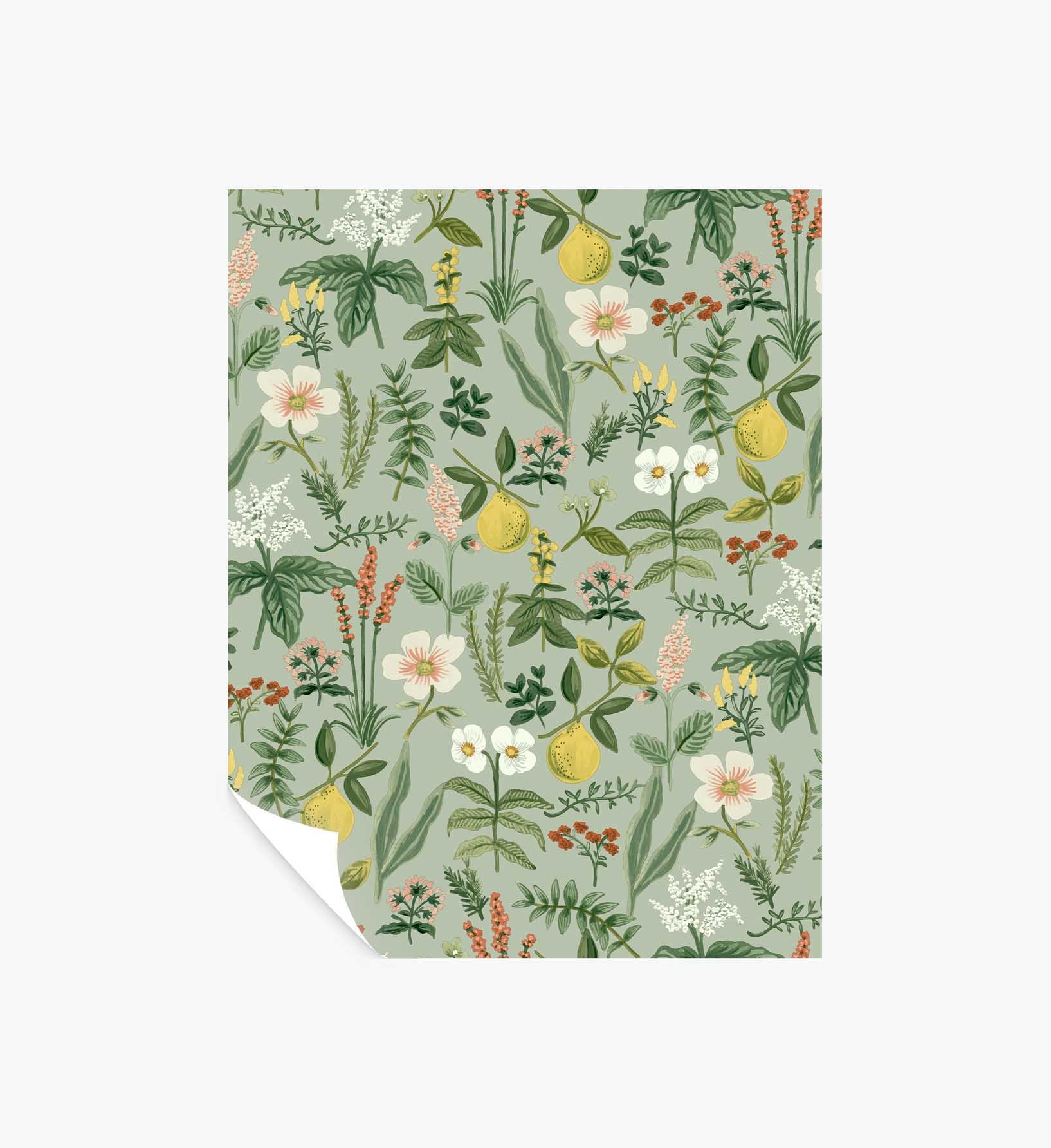 Herb Garden Peel & Stick Wallpaper Sample - Sage