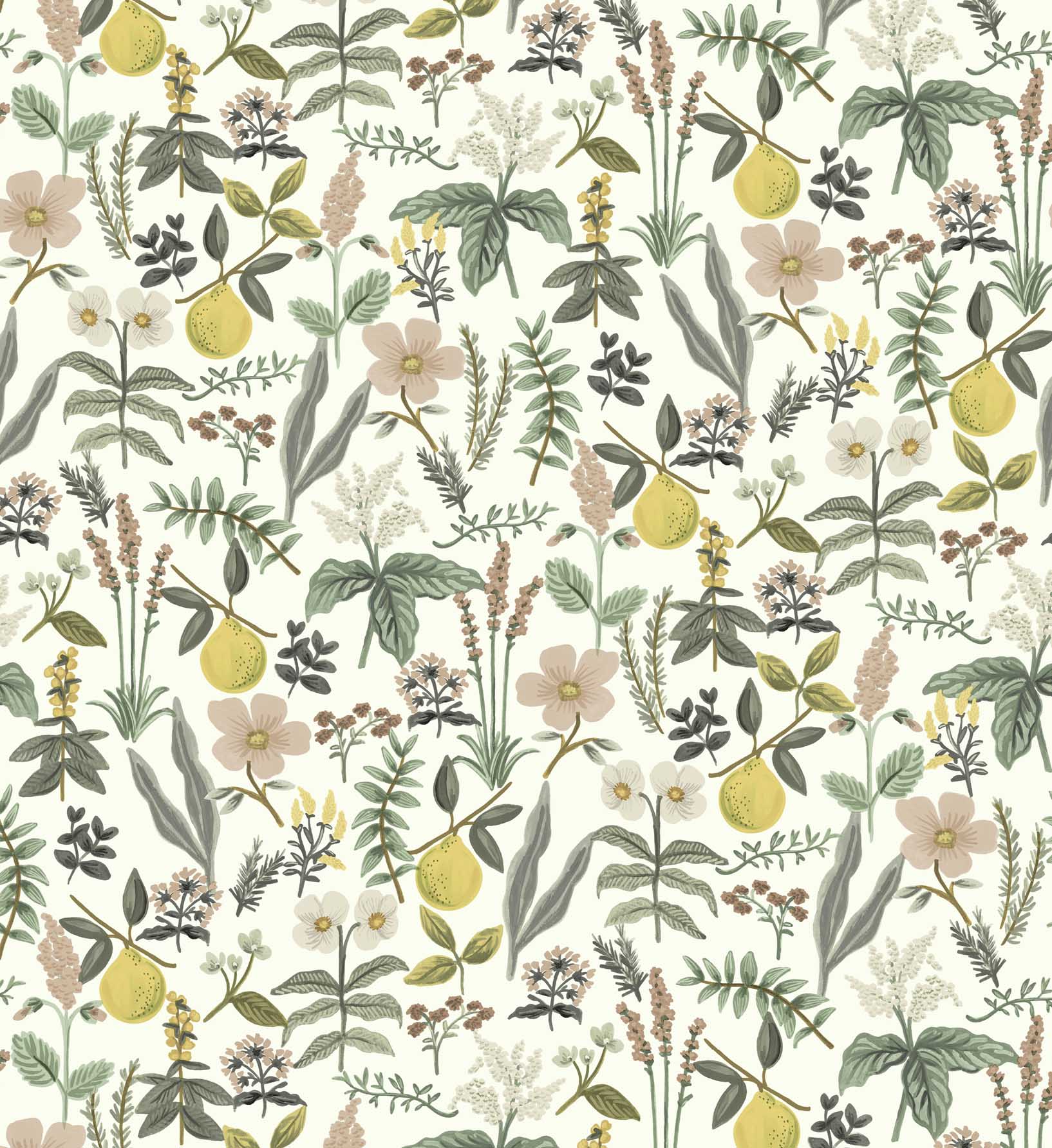 Herb Garden Peel & Stick Wallpaper Sample - Cream