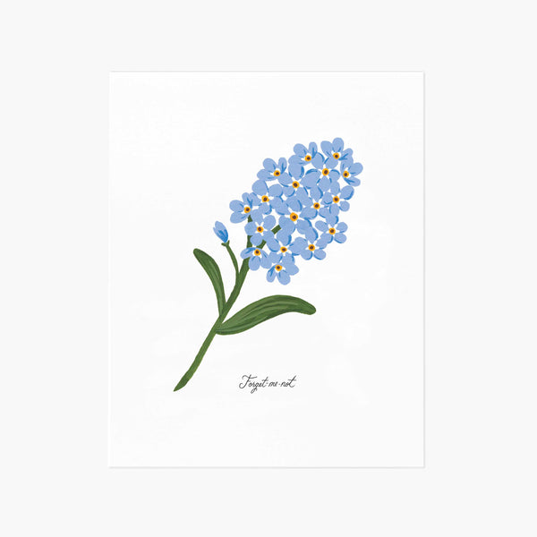Forget-Me-Not Floral Art Print | Rifle Paper Co.