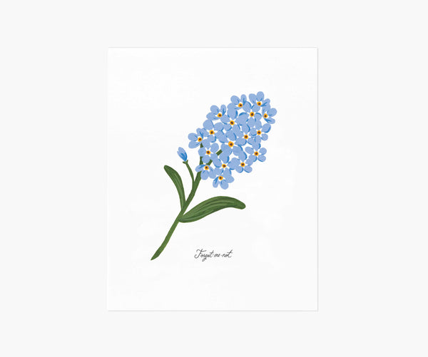 Forget-Me-Not Floral Art Print | Rifle Paper Co.
