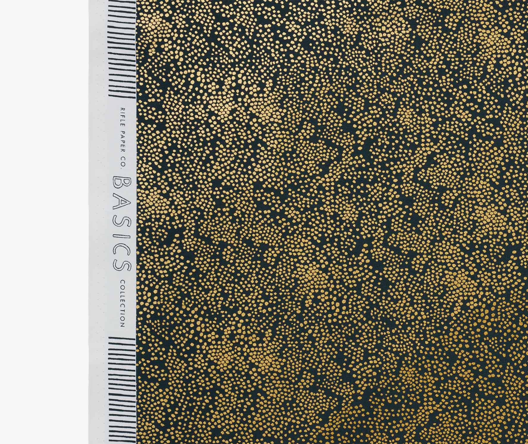  | csc183_03-r.jpg
