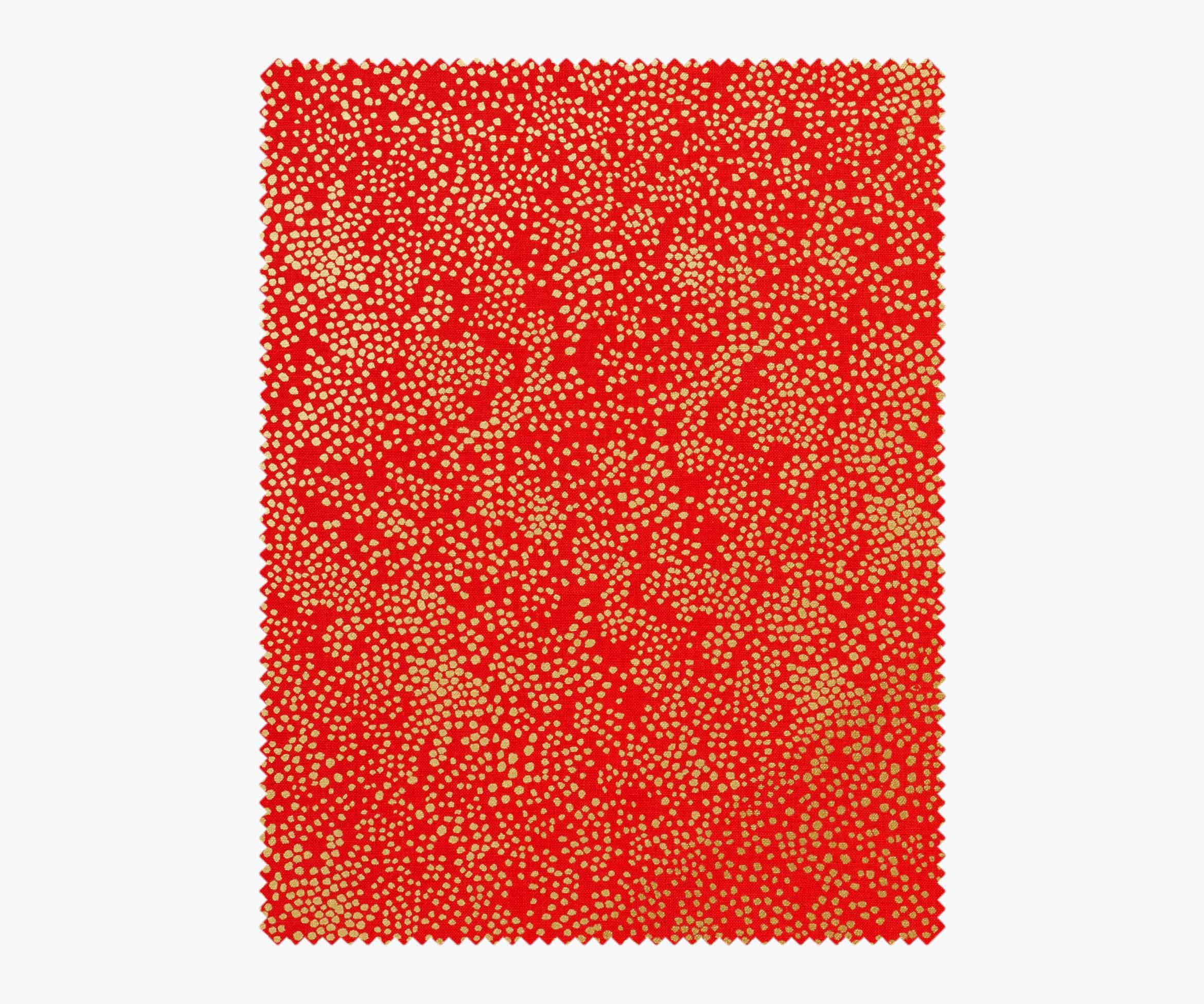  | csc184_01-r_1.jpg