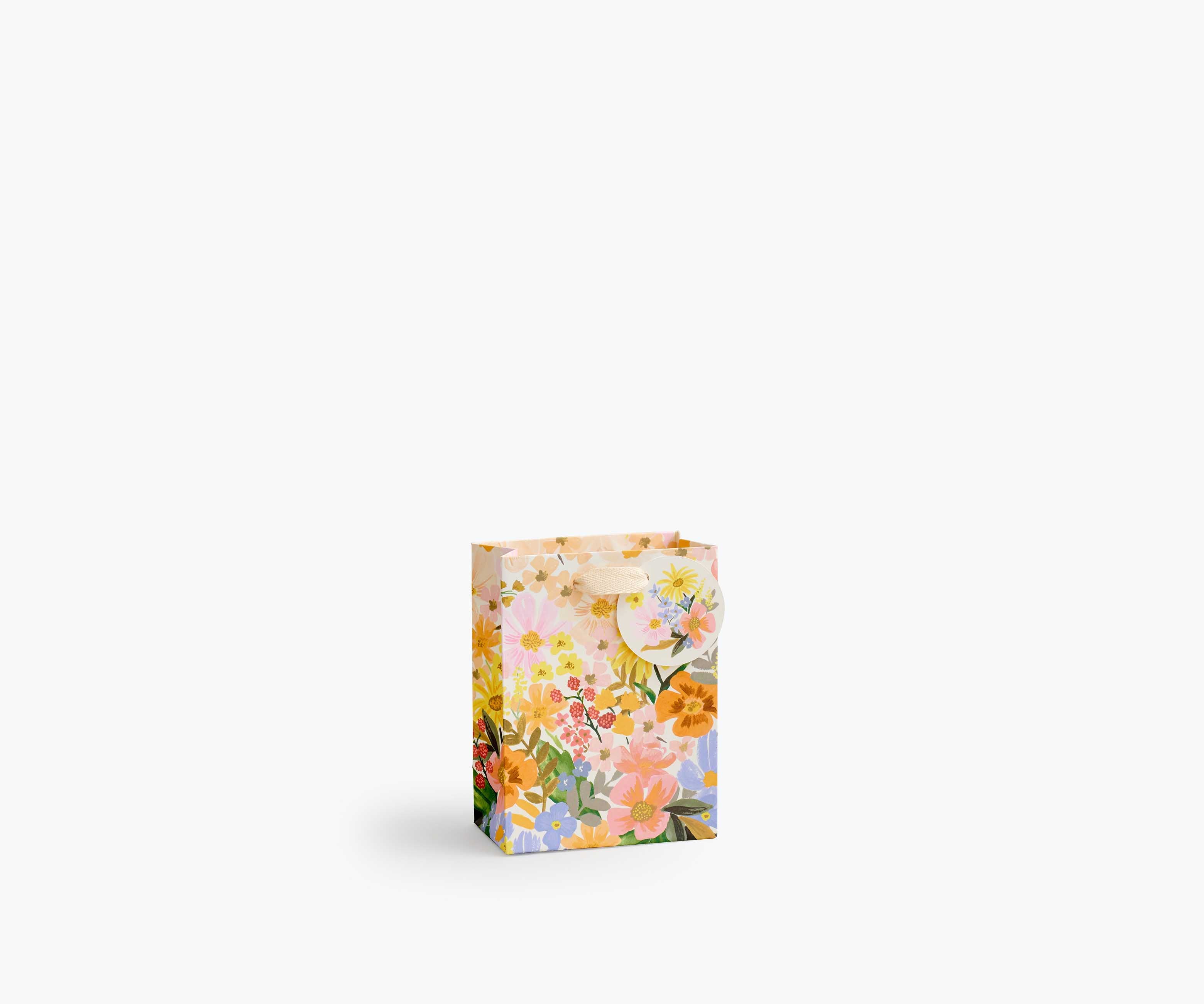  | gbm005-s_01_r_1.jpg