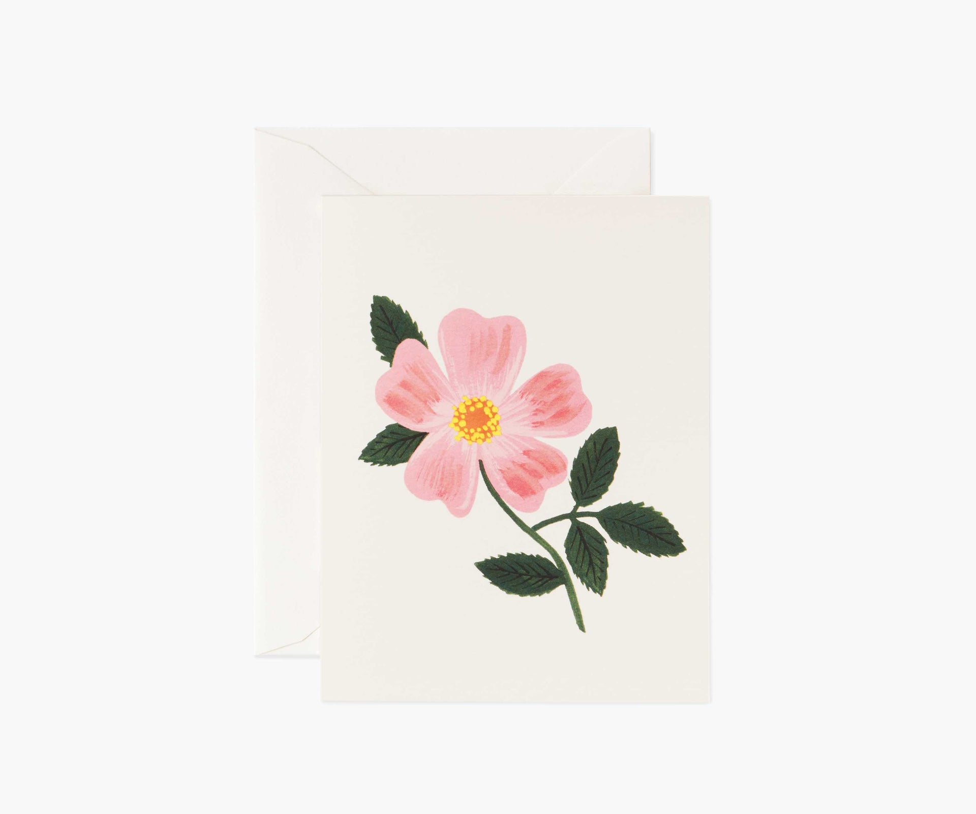 Wild Prairie Rose - Everyday Card