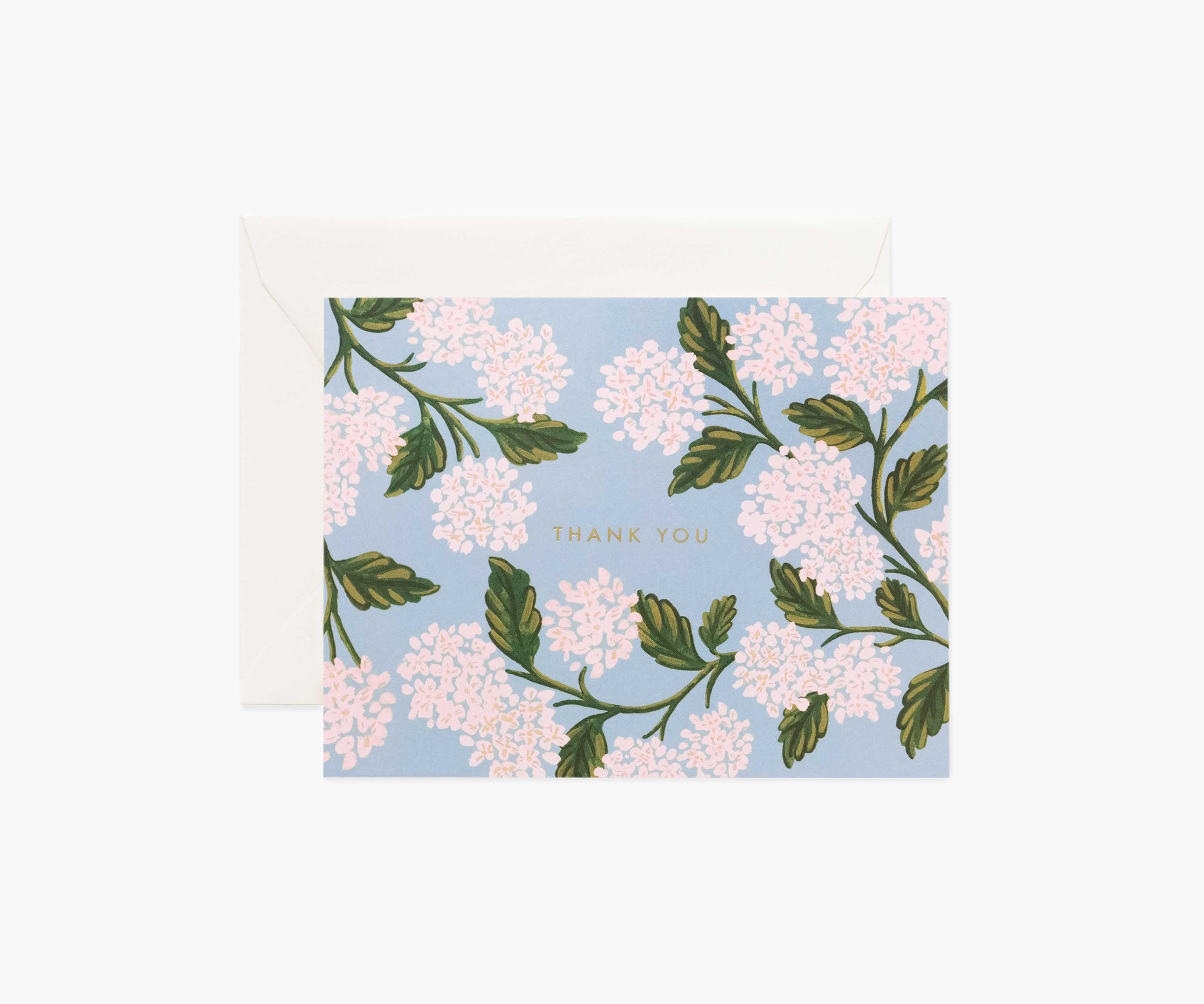 Hydrangea Thank You Cards - Boxed Set
