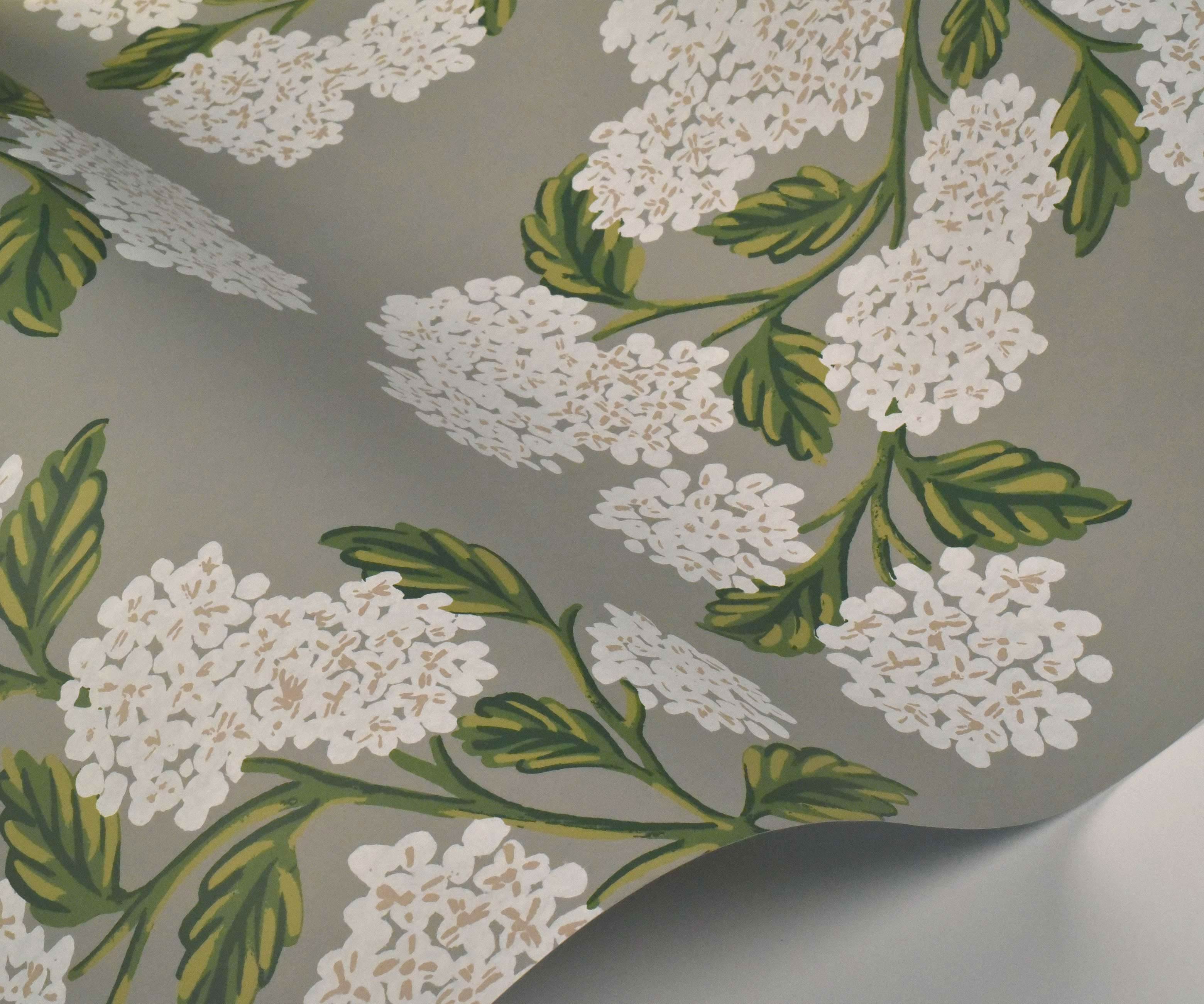 Hydrangea Sampling Hydrangea Wallpaper Sample in Grey | Rifle Paper Co.