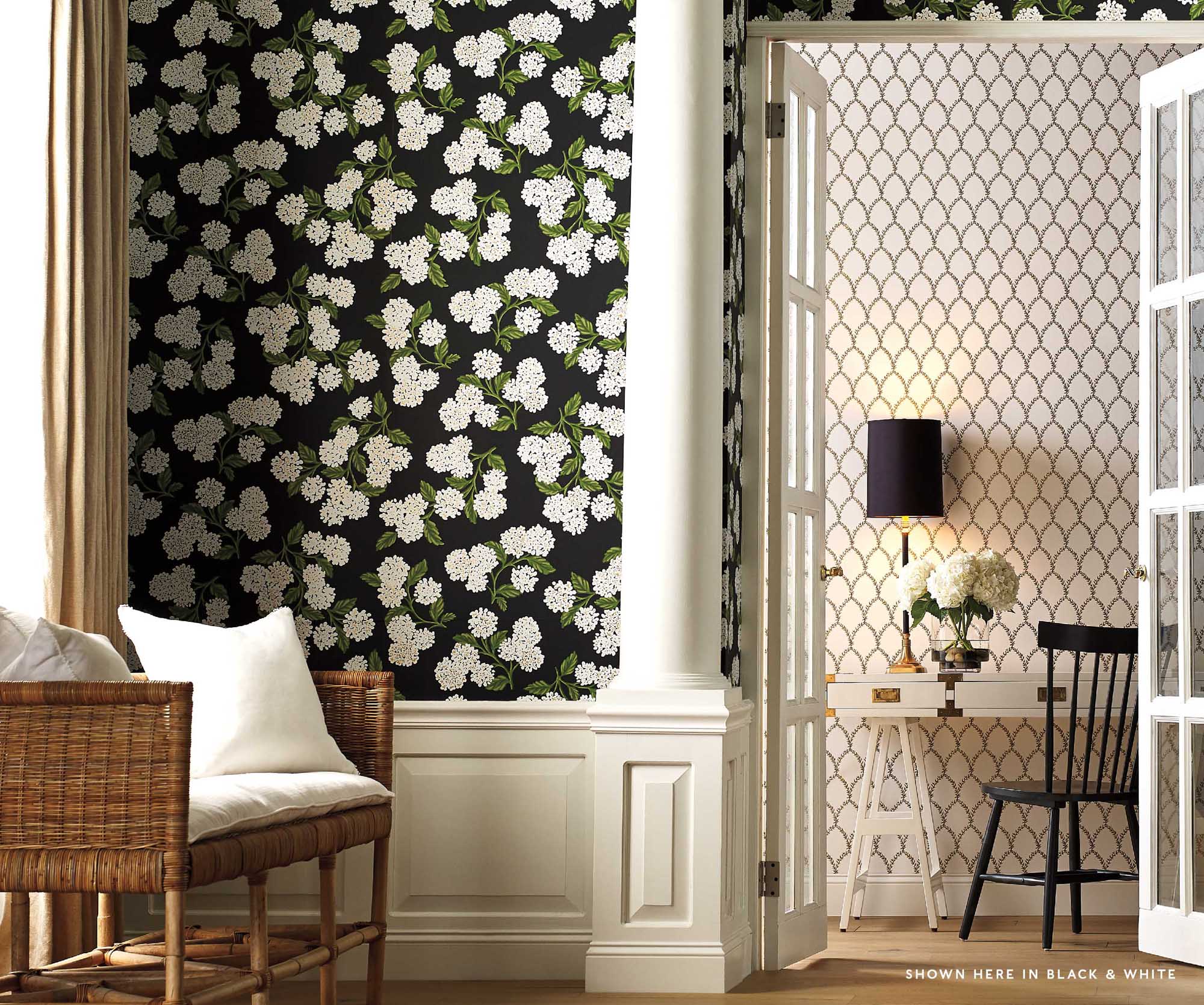 Hydrangea Sampling Hydrangea Wallpaper Sample – Black & White | Rifle Paper Co.