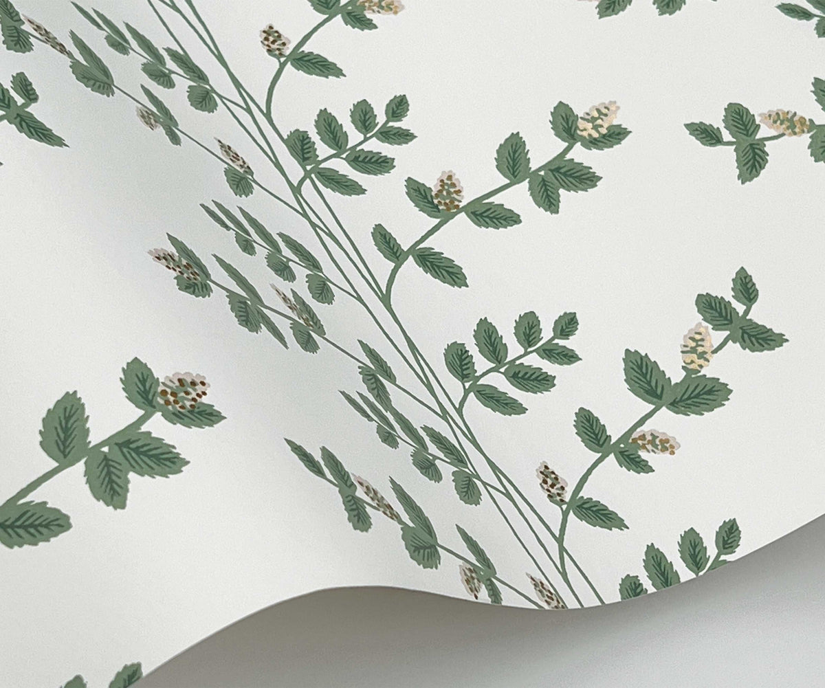 Climbing Vines Wallpaper Sample – | Rifle Paper Co.
