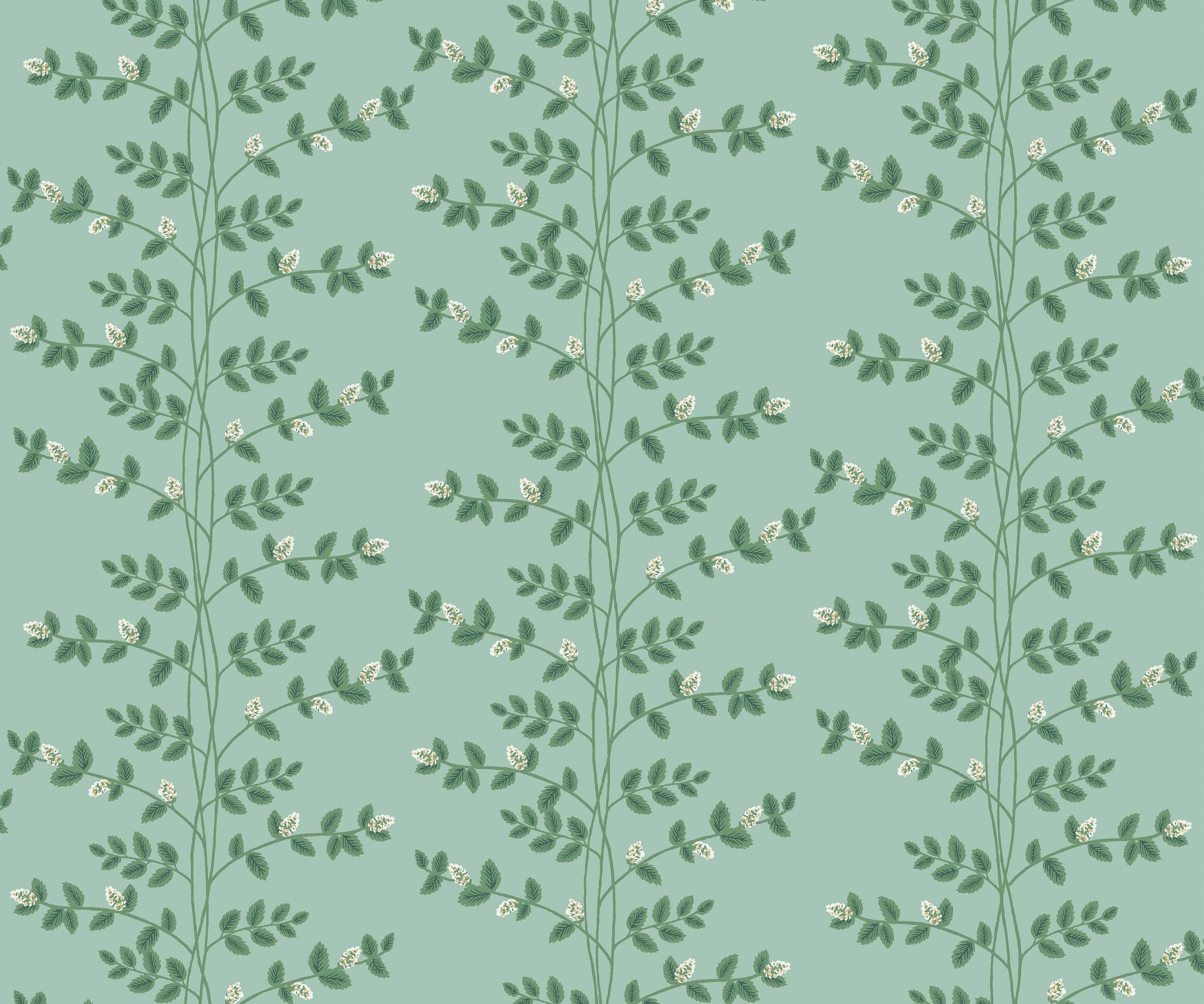Rifle Paper Co. Climbing Vines Wallpaper - Thumbnail 3