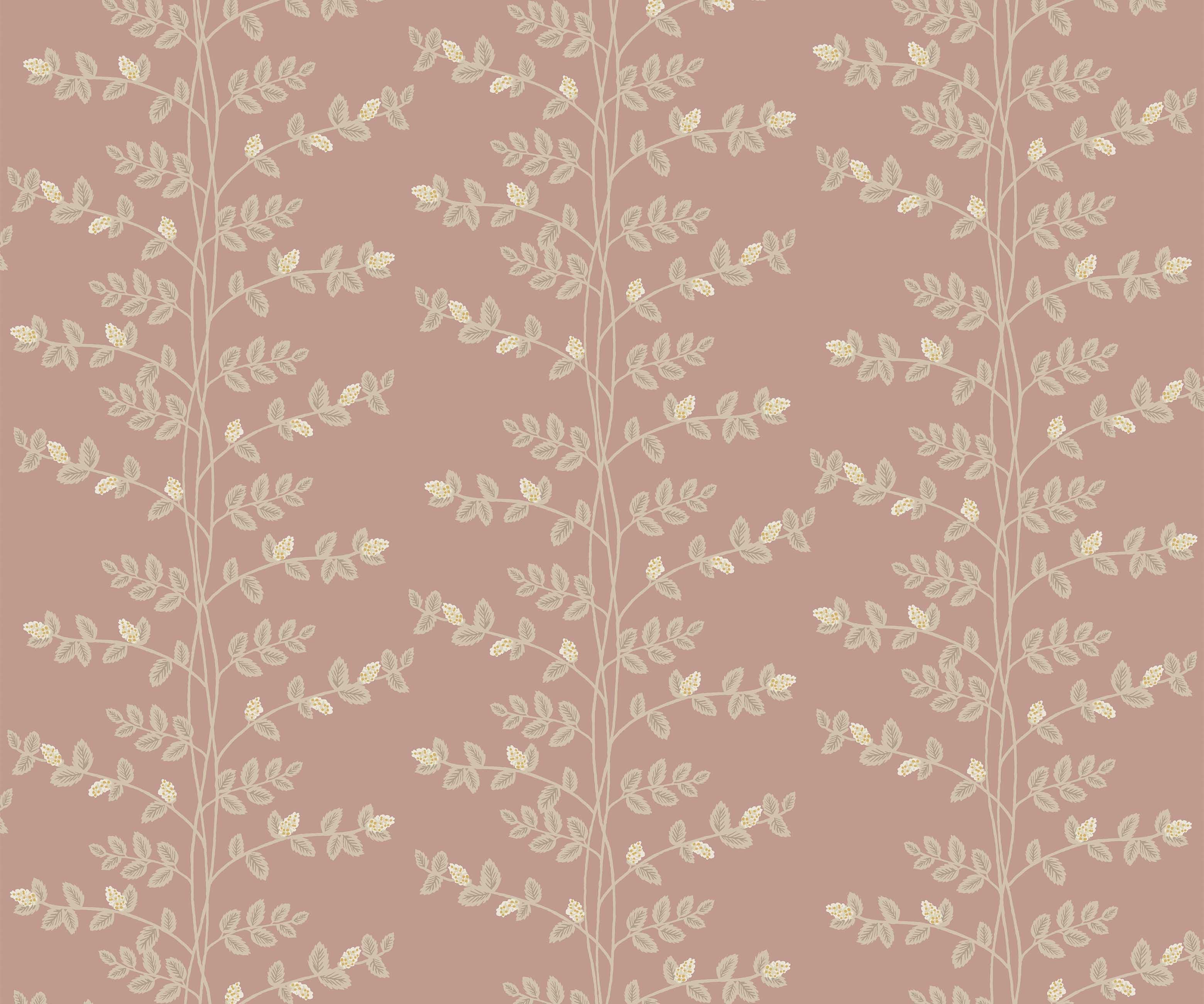 Climbing Vines Wallpaper - Rose