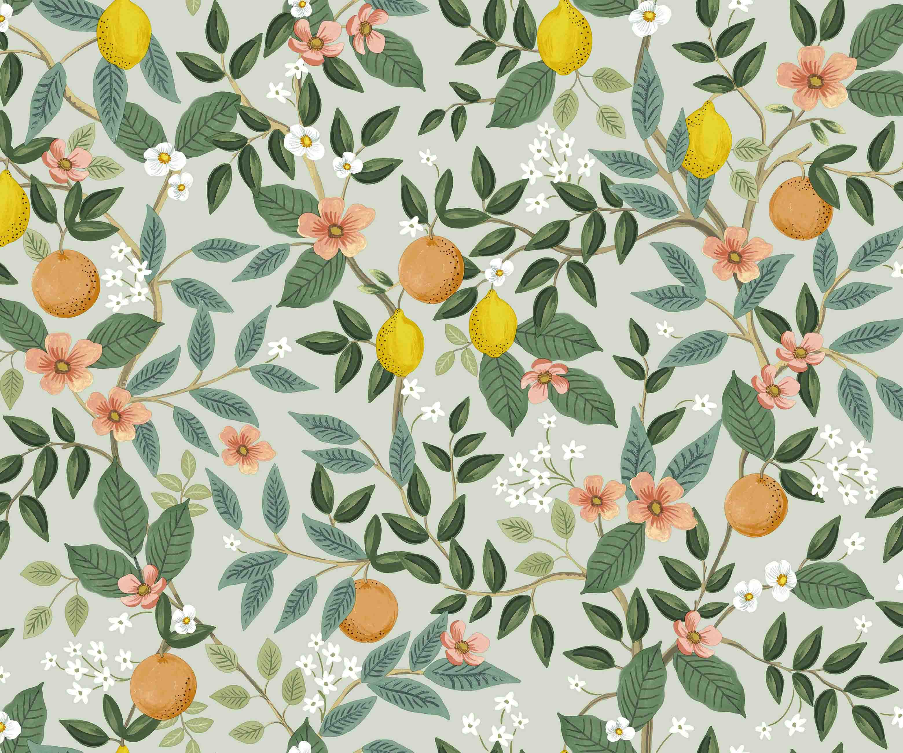 Citrus Grove Peel & Stick Wallpaper - Thumbnail 5