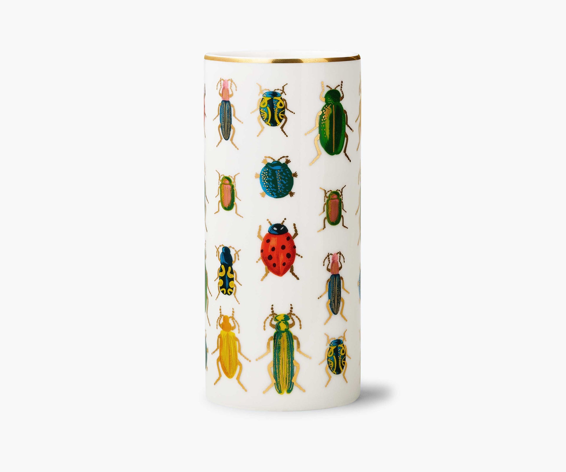 Beetles & Bugs
