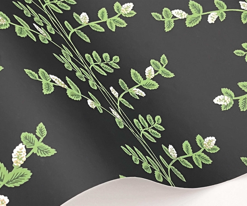 Climbing Vines Wallpaper Sample – Black | Rifle Paper Co.